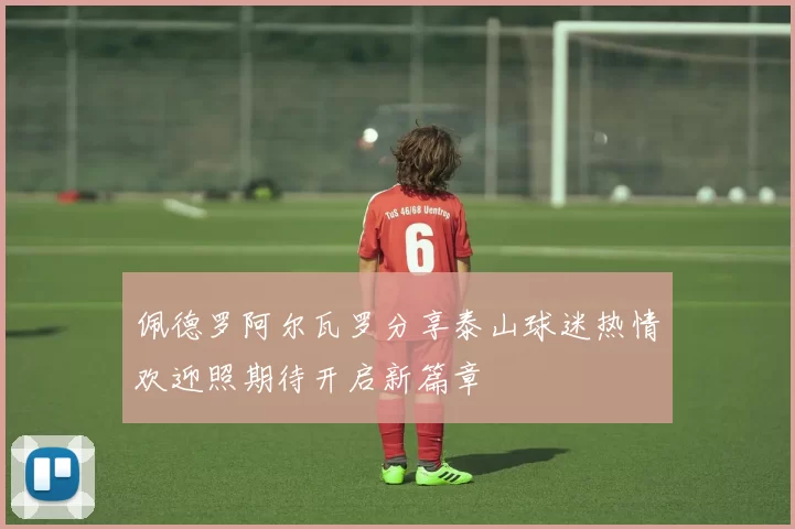 佩德罗阿尔瓦罗分享泰山球迷热情欢迎照期待开启新篇章